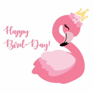 Happy Bird Day